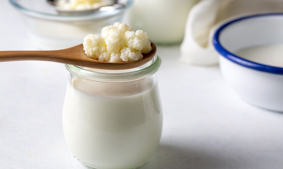  Kefir fermented milk drink with kefir grains. Homemade kefir stands in a glass, next to kefir grains and milk
     -  (crédito: DINO)