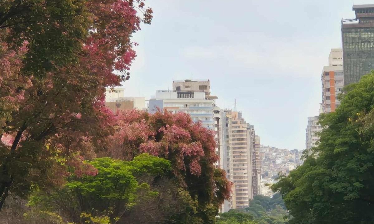 Temperaturas ficam acima dos 30&ordm;C at&eacute; sexta-feira (18/10). Chuvas isoladas devem retornar a partir de quarta (16/10) -  (crédito: Jair Amaral/EM/D.A Press)