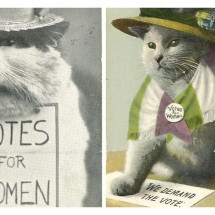 Como memes de gatos se tornaram virais há 100 anos - Edwardian Postcard Project, Lancaster University