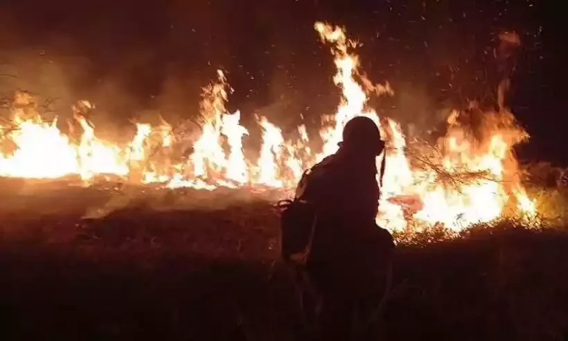 Incêndio em vegetação em Boa Esperança, no Sul de MInas; projeto de lei propões endurecer penas para crimes ambientais -  (crédito: reprodução/rede social)