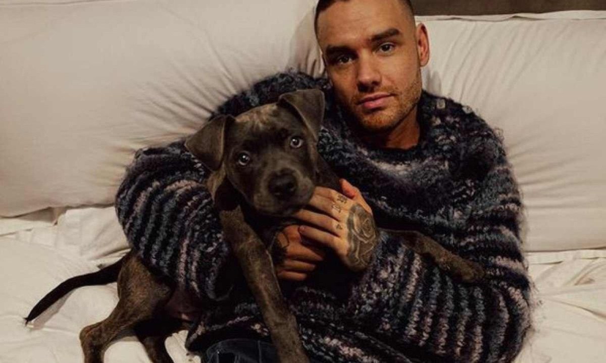 Liam Payne morreu em decorrência de lesões "muito graves" ao cair do terceiro andar de hotel na Argentina, segundo o socorrista que o atendeu -  (crédito: Instagram/reprodução)