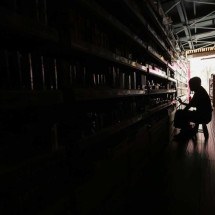 Apagão em SP: 100 mil pessoas seguem sem luz no 5º dia depois do temporal -  Paulo Pinto/ Ag..ncia Brasil