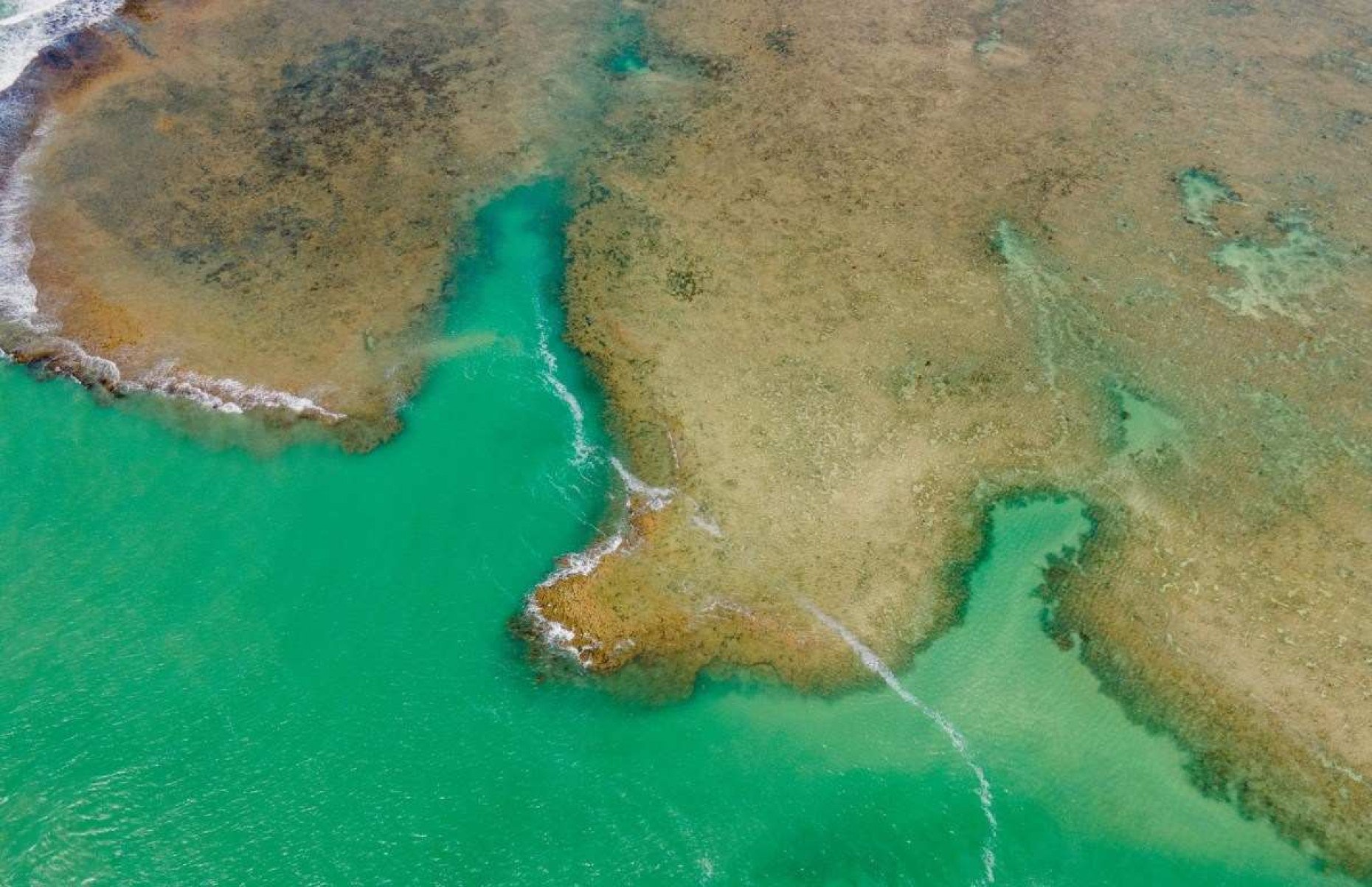 Águas cristalinas da Praia do Patacho, em Rio de Pedras (AL), é uma das contempladas com selo internacional  