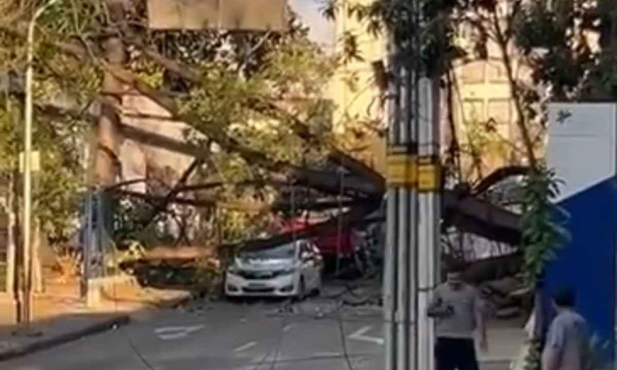 Árvore cai em carro e interdita rua em Belo Horizonte