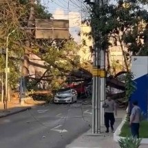 Árvore cai em carro e interdita rua em Belo Horizonte - Reprodução/Redes Sociais