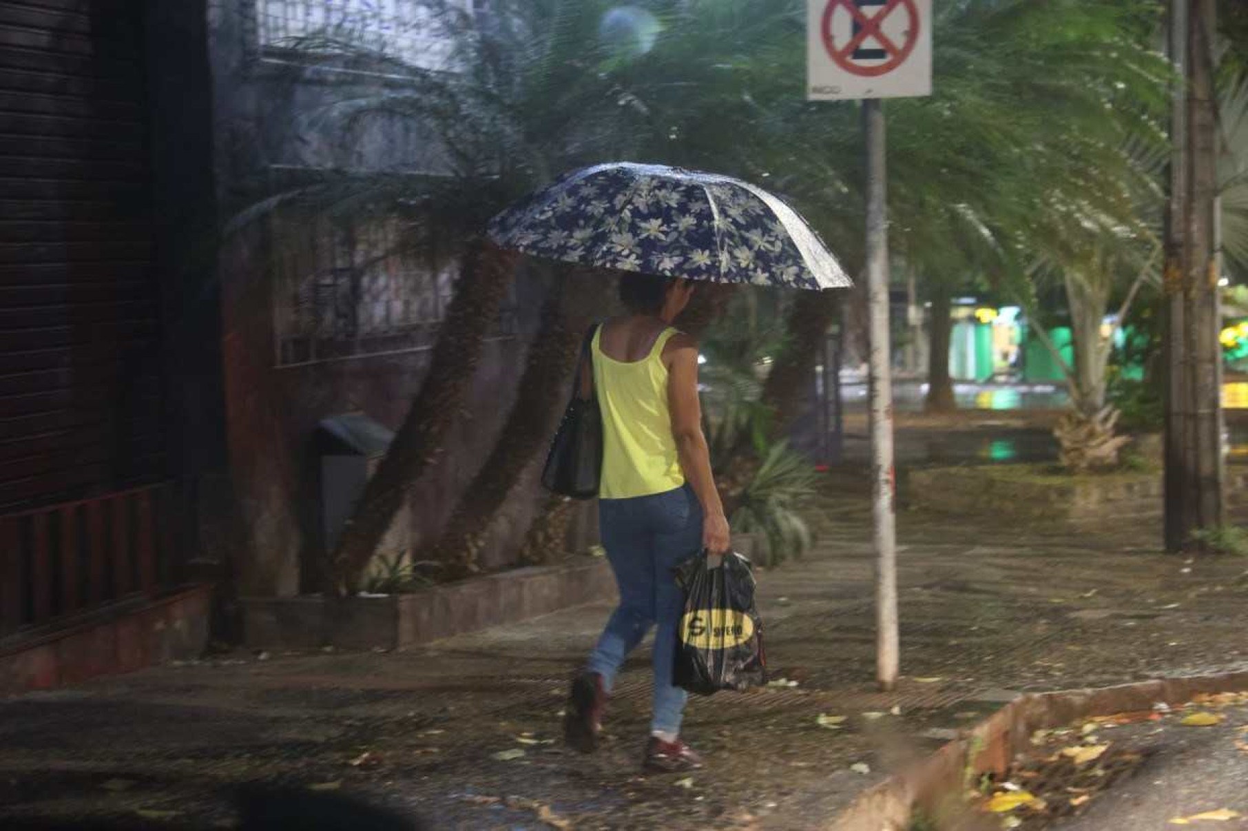 Mais de 200 cidades mineiras estão em alerta para chuvas intensas