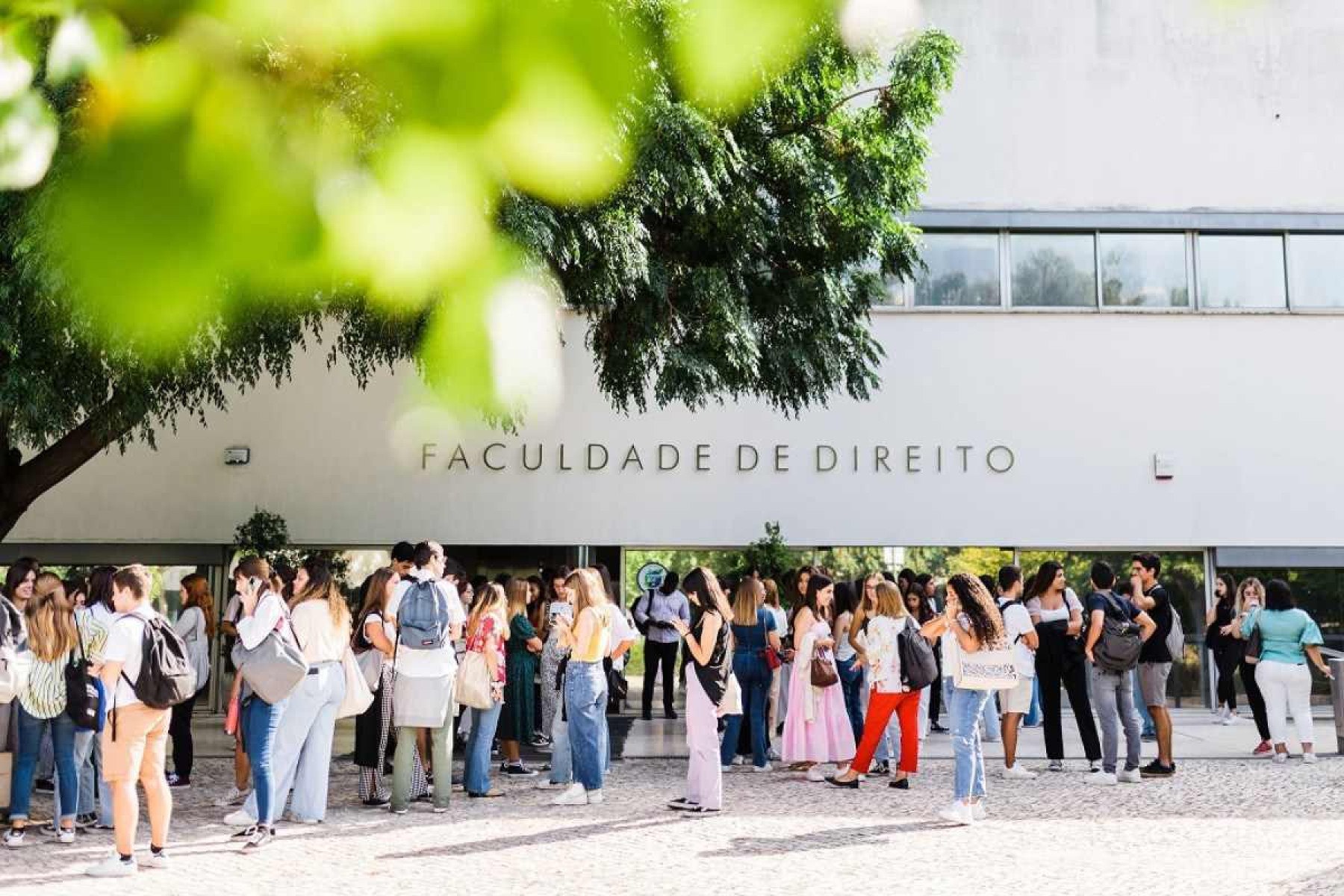 Universidade lança 'Pós-Graduação em Racismo' e é atacada na internet