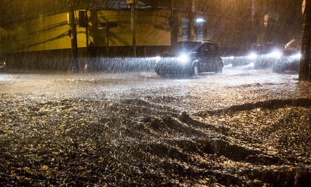 Quedas de árvores são algumas das consequências de fortes chuvas  -  (crédito: Getty Images)