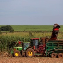 Uberaba lidera o agronegócio em Minas e na Região Sudeste - Companhia Mineira de A&ccedil;&uacute;car e &Aacute;lcool/Divulga&ccedil;&atilde;o