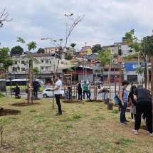 Prefeitura começa plantio de minifloresta da Virada Cultural de BH - PBH/Divulgação