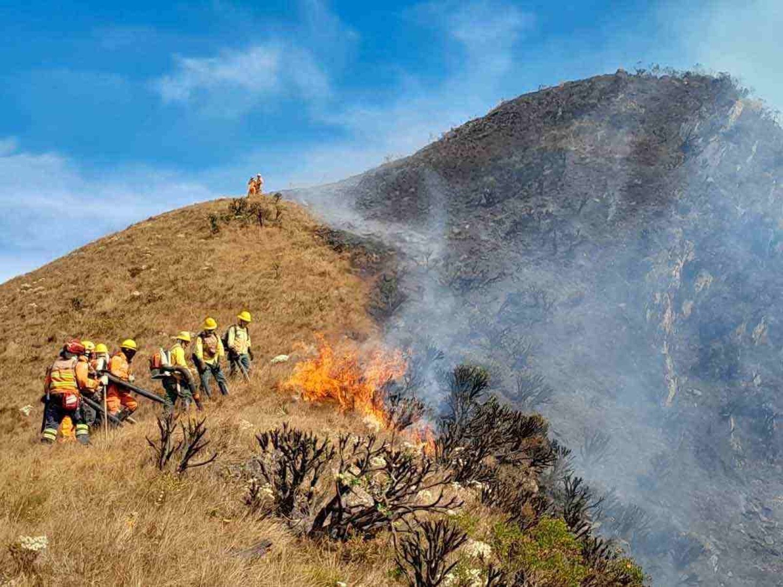 Atritos põem em xeque comando de bombeiros em incêndios florestais 