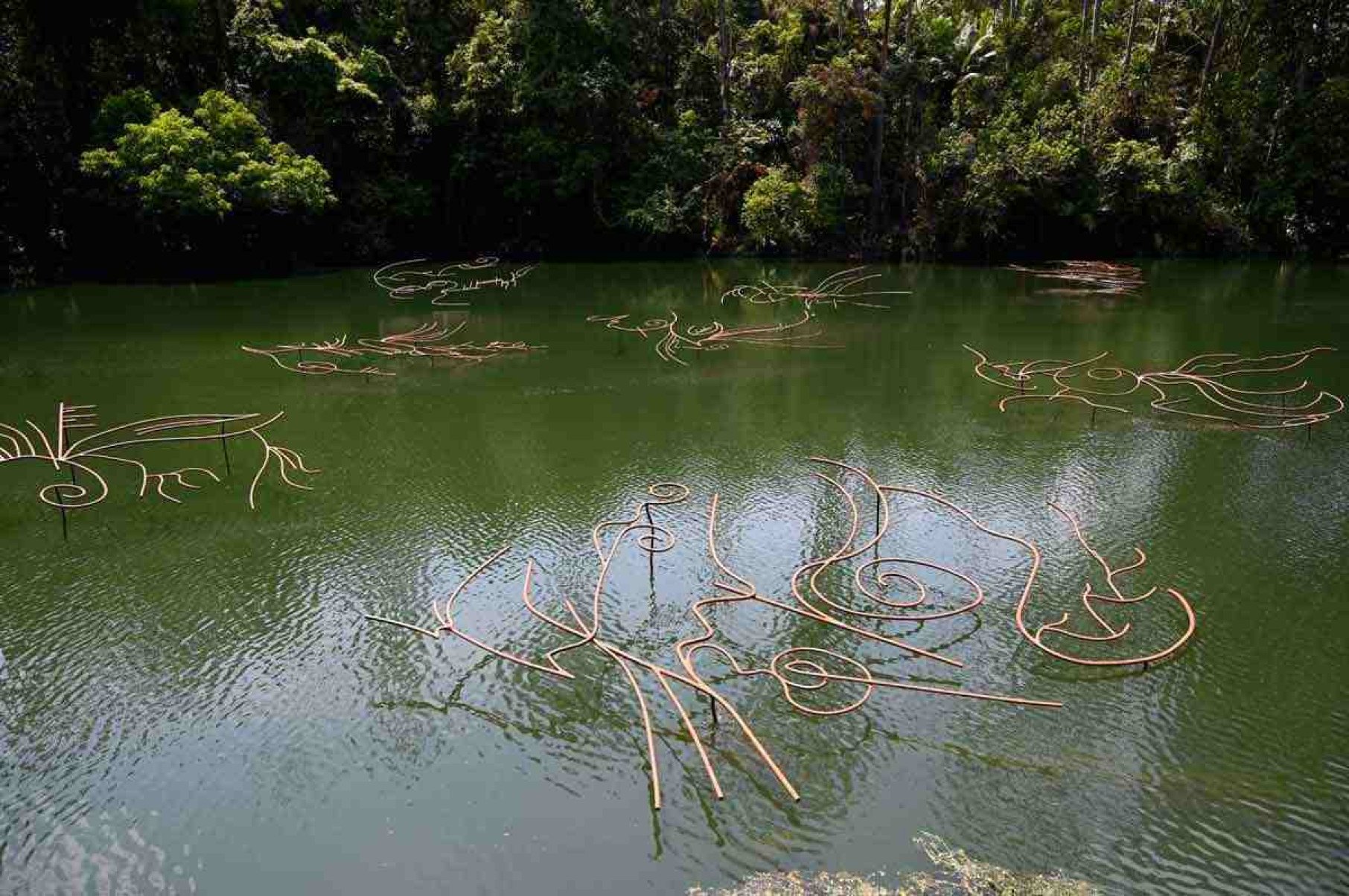 Inhotim inaugura exposições de três artistas consagradas