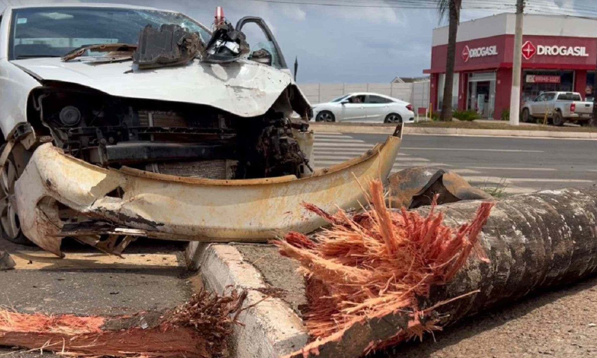 Vídeo: mulher passa reto em cruzamento e arranca palmeira com carro -  (crédito: Rede de Noticias)