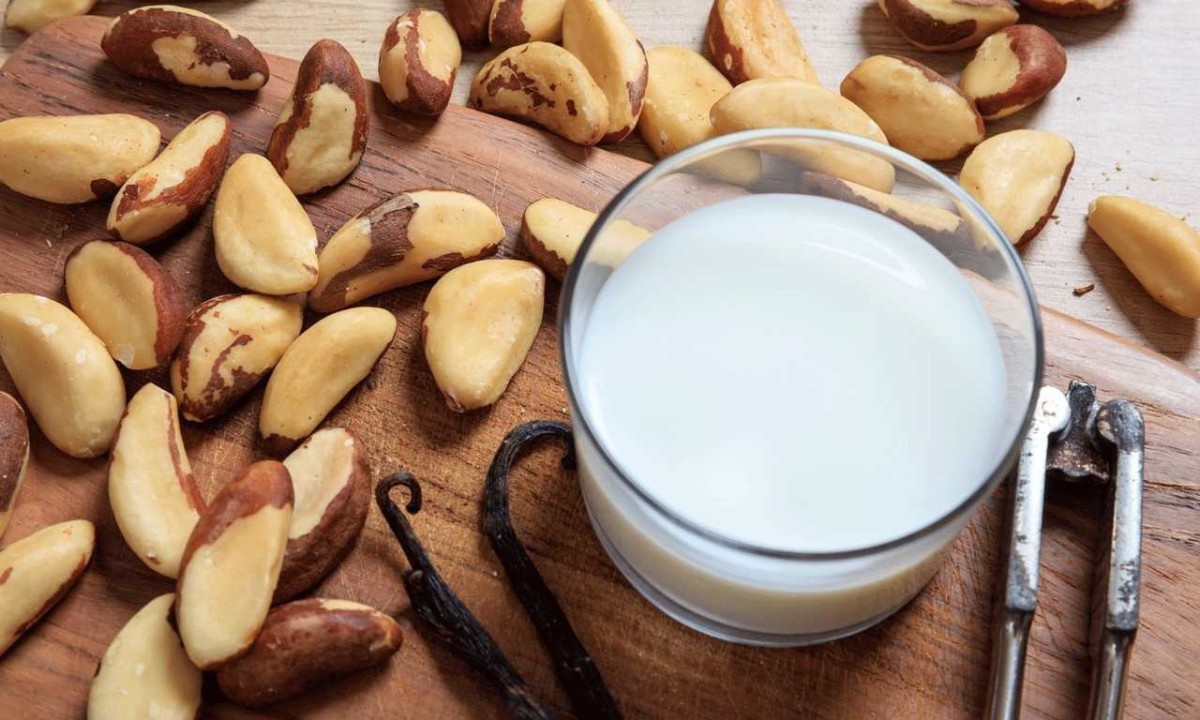 O leite de castanha é outra alternativa crescente, especialmente popular entre aqueles que buscam reduzir o consumo de produtos de origem animal. Feito a partir de castanhas, este leite é uma boa fonte de minerais, como magnésio e ferro, e possui um sabor suave e doce. -  (crédito: Divulgação)