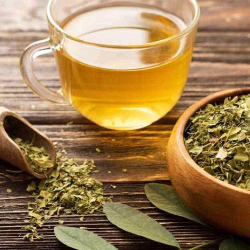 Chá de moringa vira febre no TikTok, mas será que é bom para a saúde?