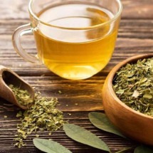 Chá de moringa vira febre no TikTok, mas será que é bom para a saúde? - Freepik