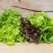 Conheça 7 tipos de alface e saiba como utilizá-los na cozinha - A Lavoura/Reprodução