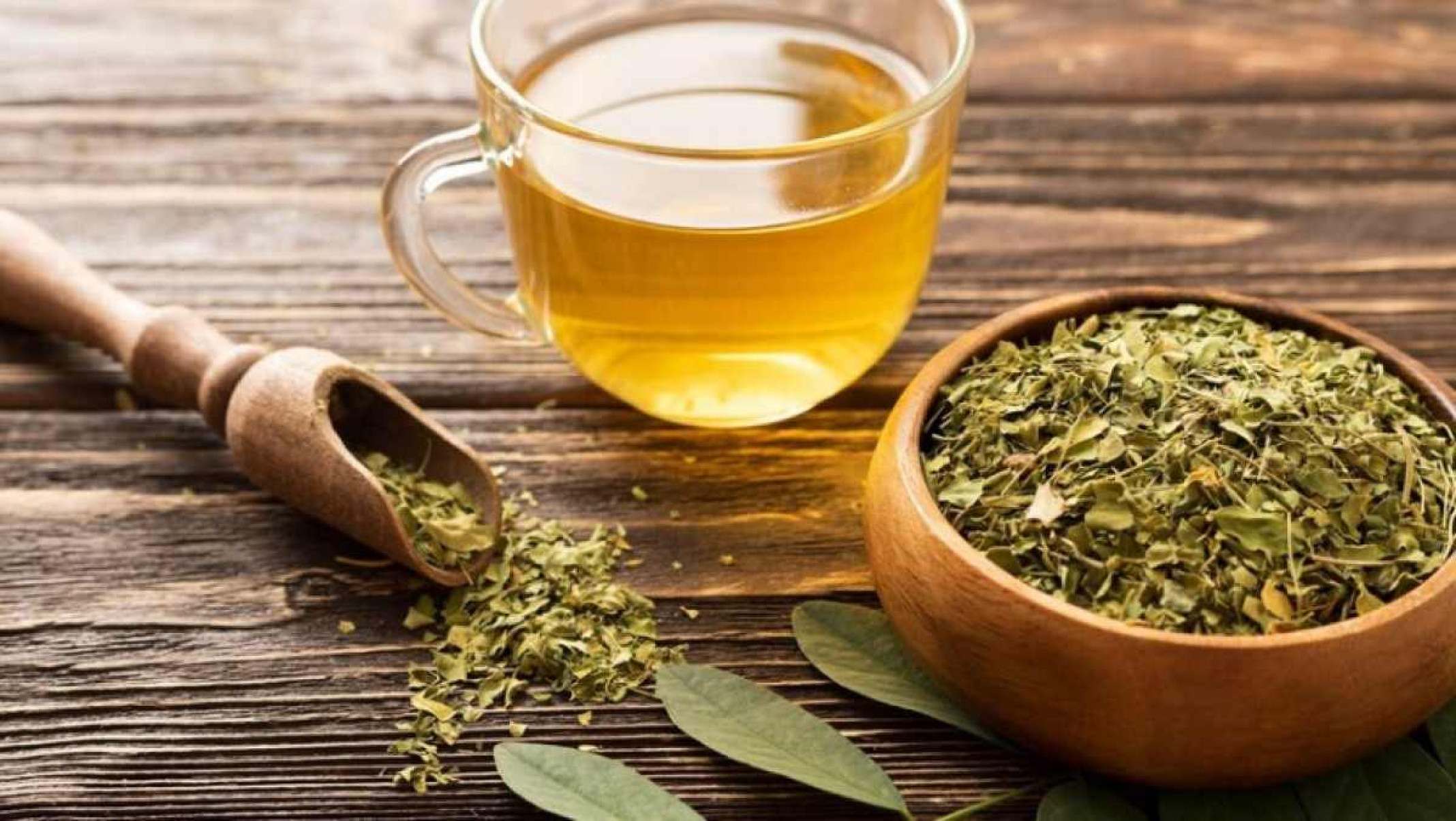 Chá de moringa vira febre no TikTok, mas será que é bom para a saúde?