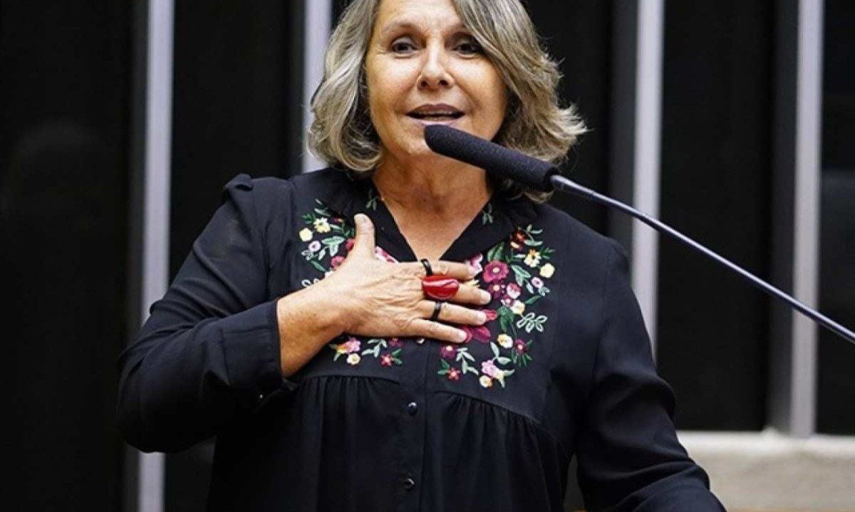 Deputada Federal Erika Kokay (PT-DF). -  (crédito: Divulgação/Câmara dos Deputados)