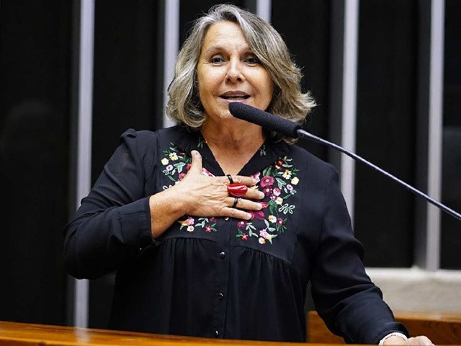 Deputada Federal Erika Kokay (PT-DF). -  (crédito: Divulgação/Câmara dos Deputados)