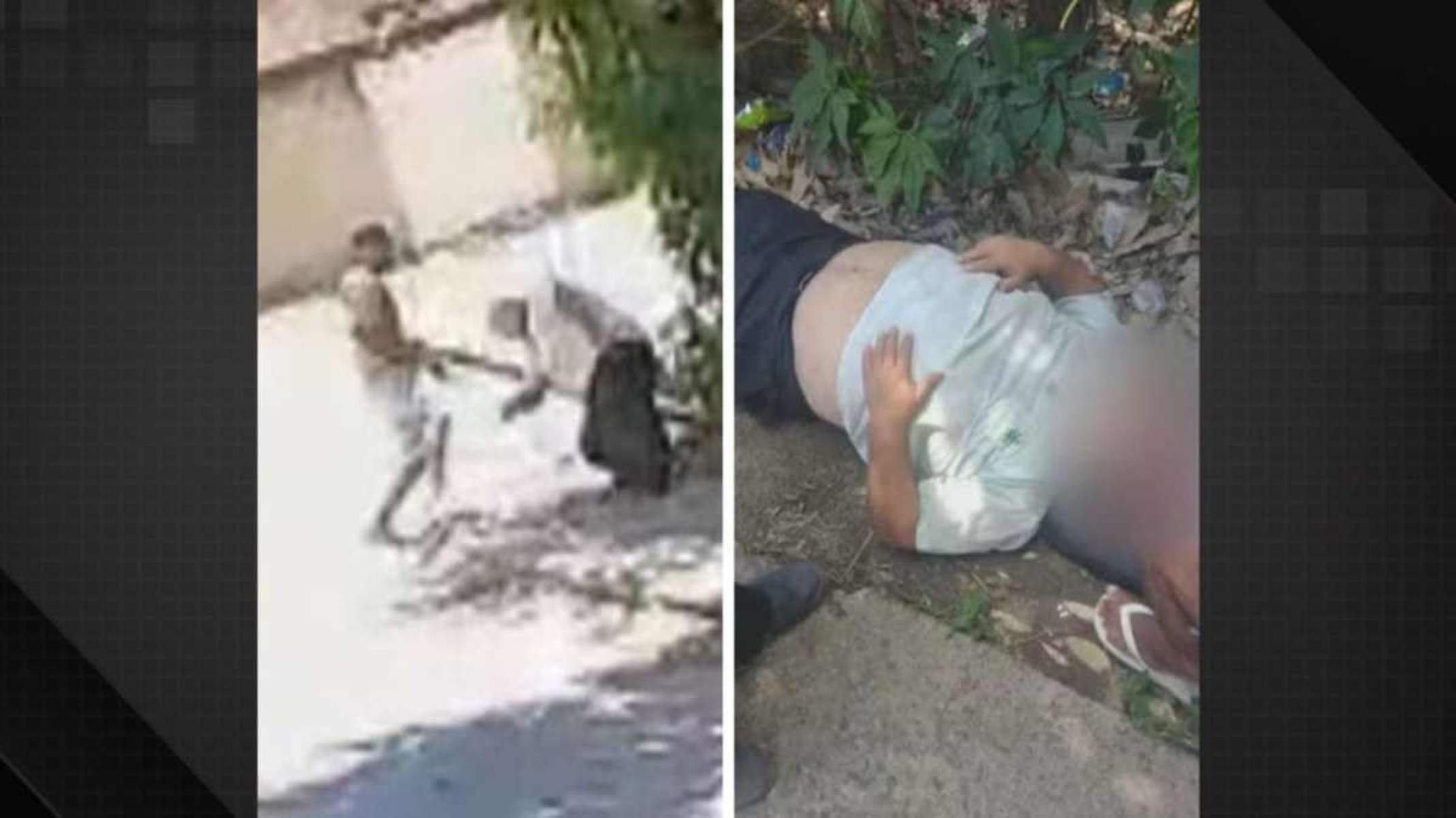Motorista de ônibus desmaia ao levar paulada de passageiro