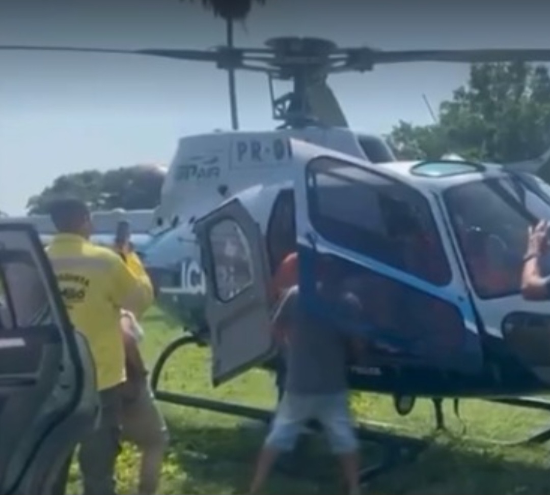 Cena de pânico: Búfalo ataca mulher durante passeio no Pantanal