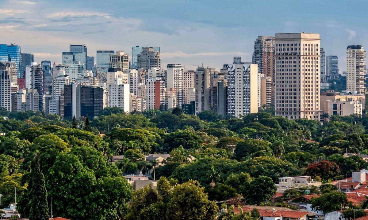 Mapa da cobertura vegetal de São Paulo: 'selva de pedra' é verde nos extremos norte e sul -  (crédito: Mapeamento Digital da Cobertura Vegetal do Município de  São Paulo/Reprodução)