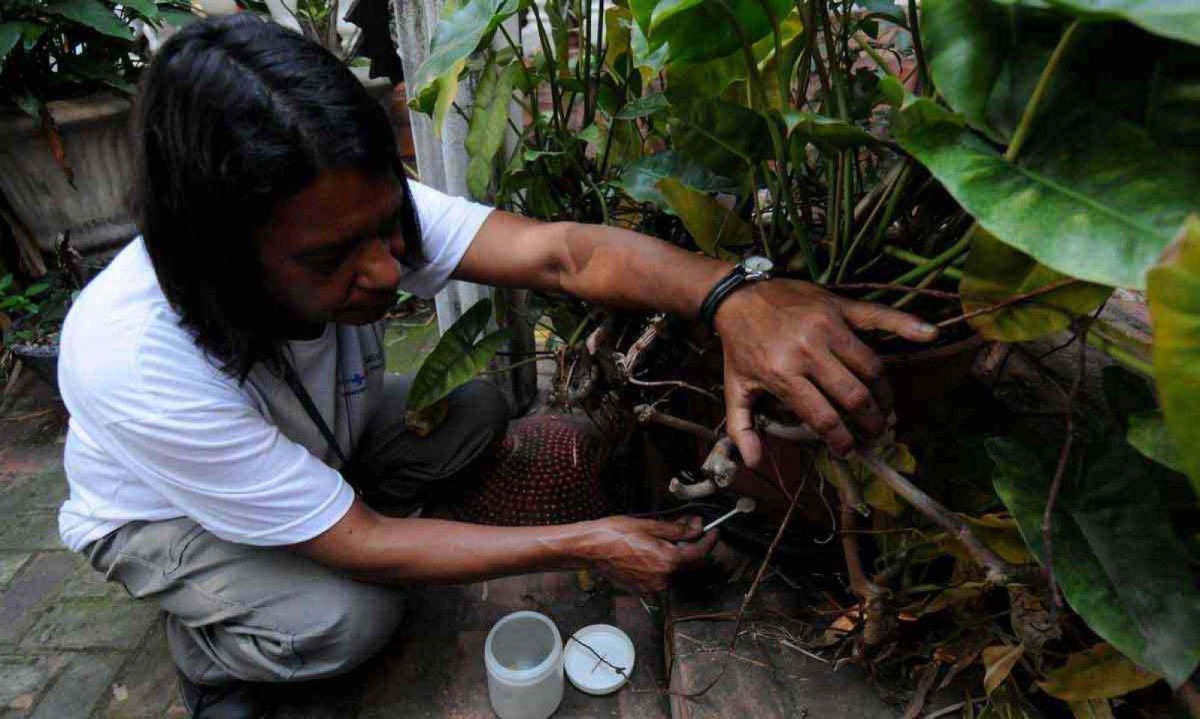 Agente de Zoonoses fiscaliza quintal de casa em BH: combate contínuo aos focos do Aedes é essencial para a evitar epidemias das enfermidades provocadas pelo mosquito -  (crédito: Leandro Couri/EM/D.A Press – 2/8/19)