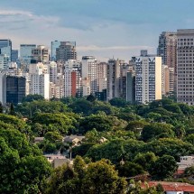 Prefeito de São Paulo diz que mais da metade da cidade são áreas verdes. É verdade? - Mapeamento Digital da Cobertura Vegetal do Município de  São Paulo/Reprodução