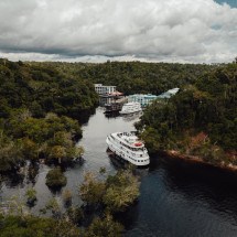 Amazônia ganha espaço no calendário de entretenimento global - DINO