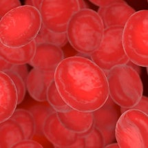 Anemia falciforme: detecção por teste genético ajuda planejamento familiar - Freepik