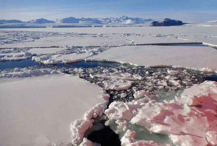 Estudo destaca aumento dos problemas de saúde vinculados às mudanças climáticas - wikimedia commons Francisco Ardini/PNRA