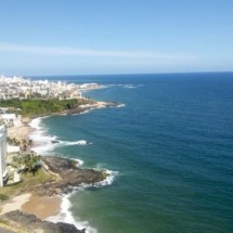 Praias de Salvador registram aumento alarmante de banhistas queimados por caravelas - wikimedia commons Jorge Cortell