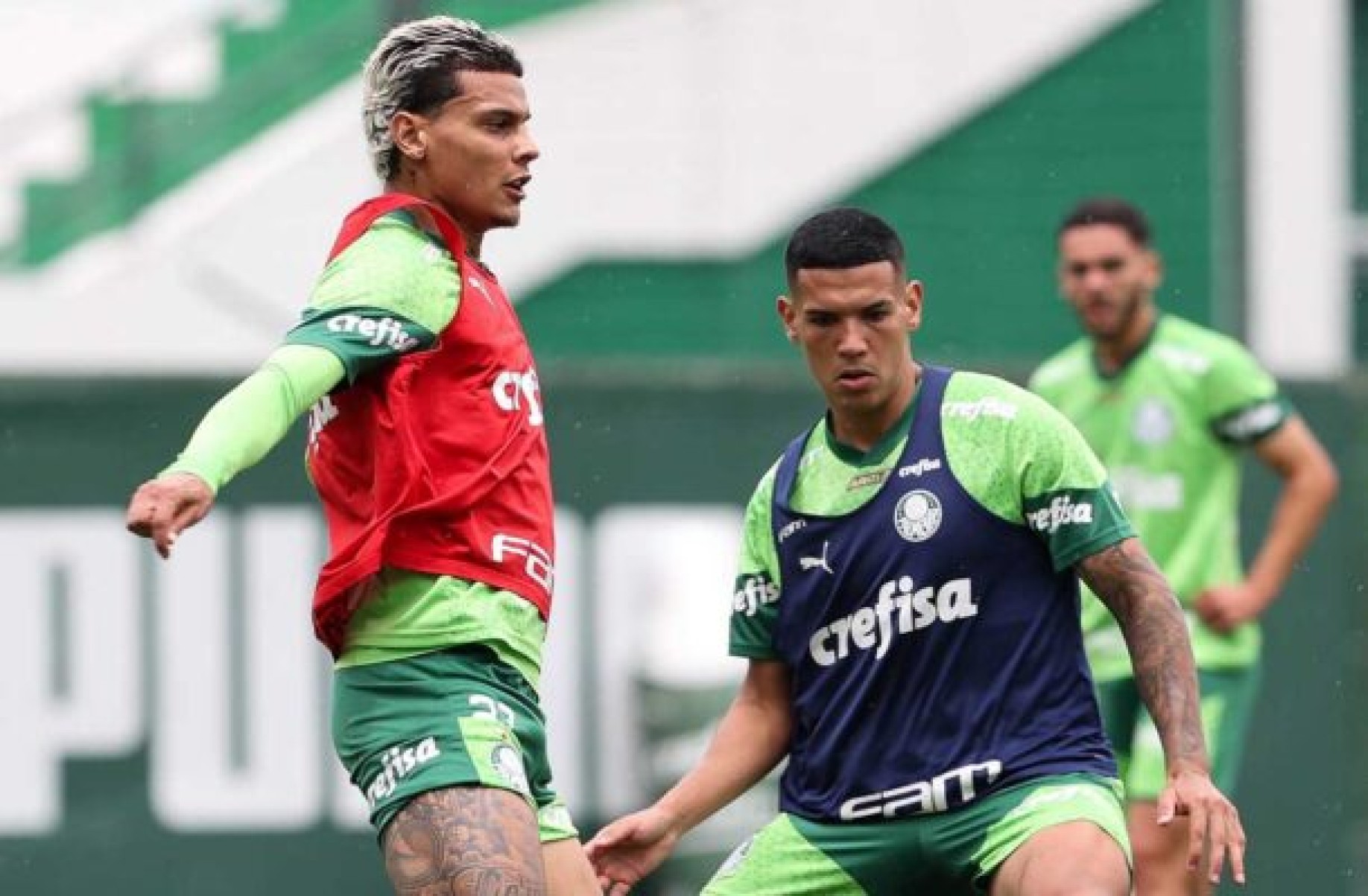 Palmeiras segue preparação e Naves vê jogo ‘fundamental’ contra o Fortaleza