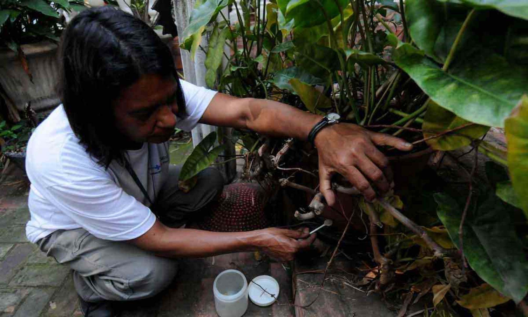 Unicef revela os 'focos de resistência' no combate ao Aedes