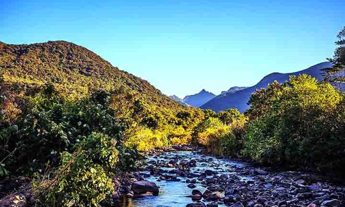 Originalmente, a floresta se estendia por 1,3 milhão de quilòmetros quadrados, mas hoje restam apenas 24% da Mata Atlântica, de acordo com dados da Fundação SOS Mata Atlântica. 
 -  (crédito:  Felipe José Ferreira/Wikimédia Commons)