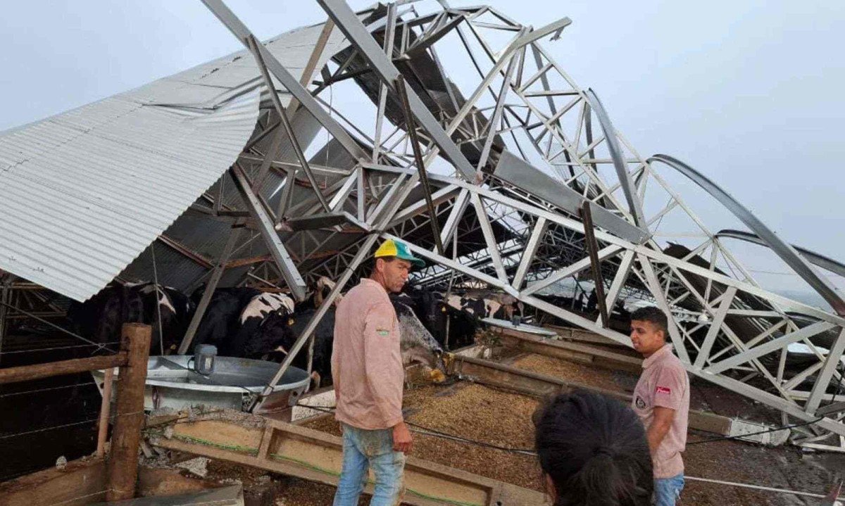 O vento intenso assustou moradores, especialmente nas &aacute;reas rurais -  (crédito: Rede de Noticias)