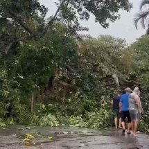 Tempestade deixa 3 mortos, navio à deriva e ruas alagadas no Rio - Reprodução/TV Globo
