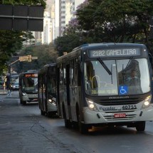 BH e Uberaba terão transporte de ônibus gratuito no domingo de eleições - Tulio Santos/EM/D.A.Press. Brasil. Belo Horizonte - MG