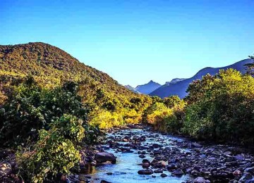 Originalmente, a floresta se estendia por 1,3 milhão de quilòmetros quadrados, mas hoje restam apenas 24% da Mata Atlântica, de acordo com dados da Fundação SOS Mata Atlântica. 
 -  (crédito:  Felipe José Ferreira/Wikimédia Commons)