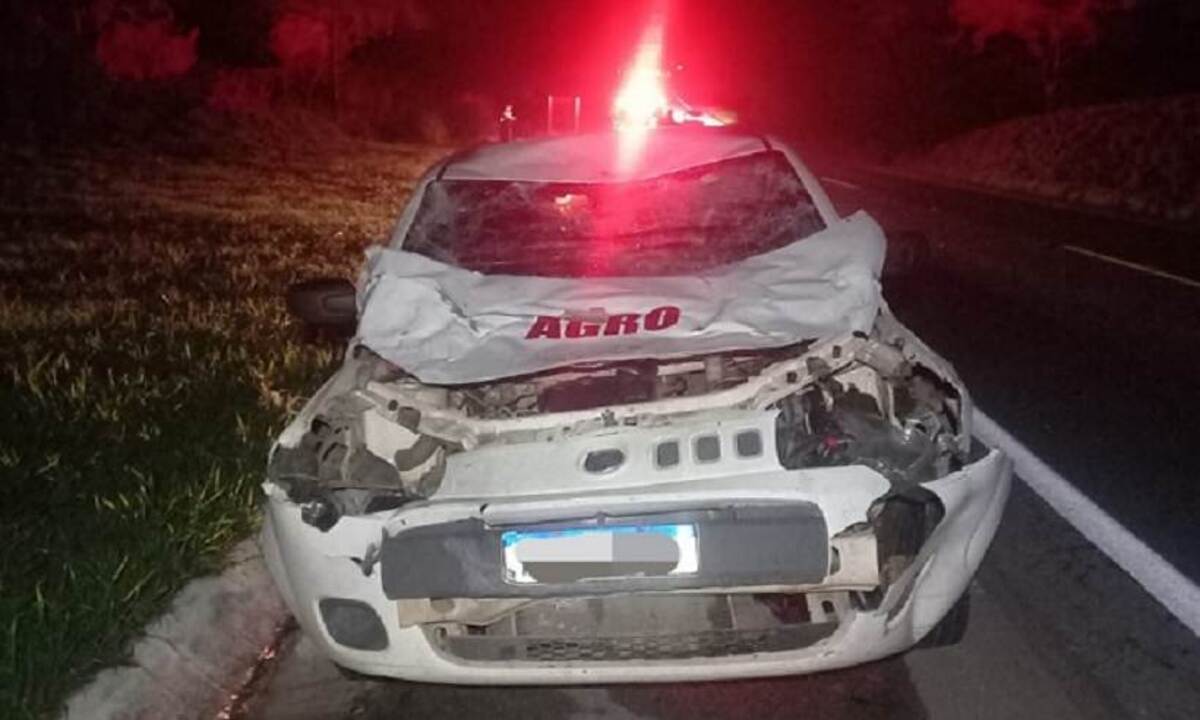 A frente do Fiat ficou destru&iacute;da ap&oacute;s atropelar o animal -  (crédito: CBMMG)