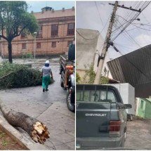 Forte chuva derruba árvores e arranca telhados em Juiz de Fora - Prefeitura de Juiz de Fora / Reprodução - Redes Sociais / Reprodução