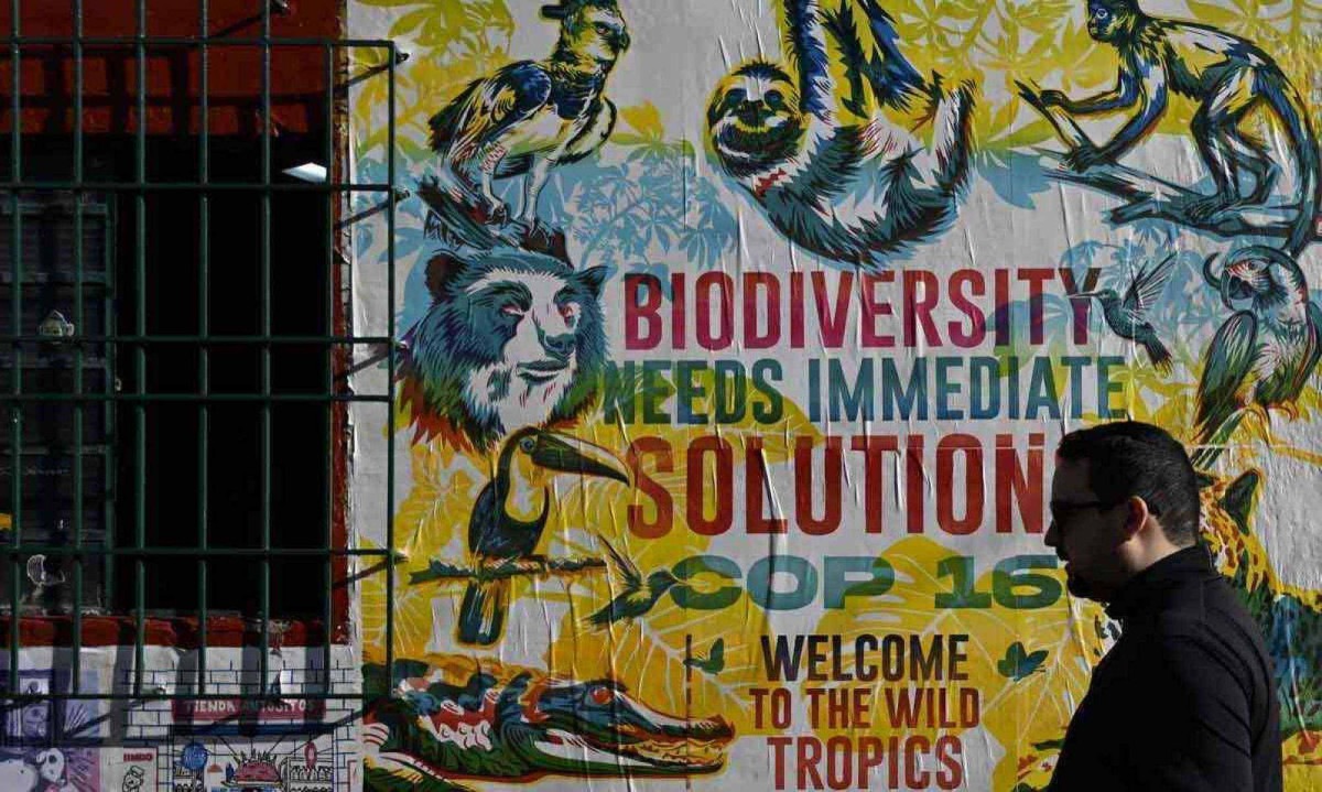 O PNUMA, lançou em Cali, na COP 16 da Convenção sobre Biodiversidade relatório afirmando que a distância entre o que se fez e o que era necessário -  (crédito: Joaquim Sarmiento/AFP)