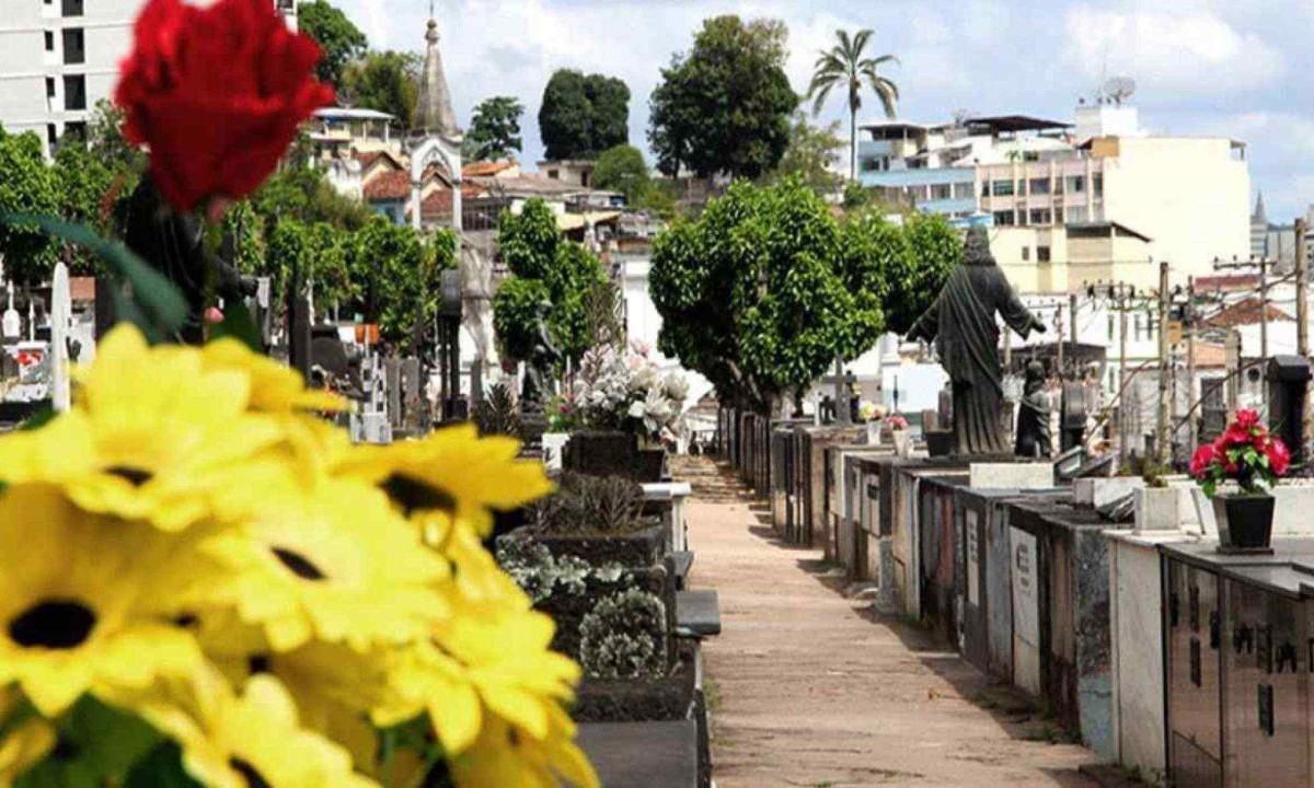 Situação inusitada aconteceu no Cemitério Municipal de Juiz de Fora -  (crédito: Divulgação /PJF)