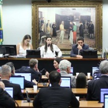 Comissão da Câmara aprova PEC que proíbe aborto no Brasil - Vinicius Loures/Câmara dos Deputados