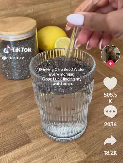 Água de girino: Bebida de sucesso no TikTok é segura?