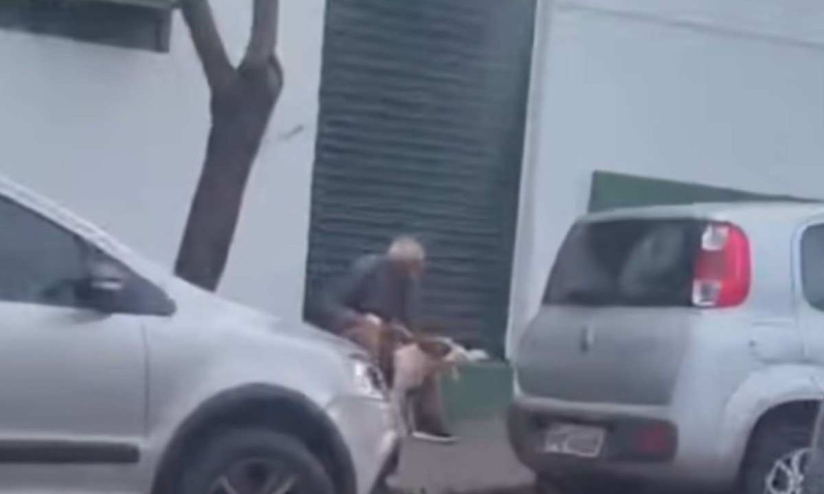 Crime de zoofilia foi flagrado no Centro de Ituiutaba -  (crédito: Redes sociais/Reprodução)