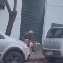 Idoso de 80 anos é preso ao ser flagrado em vídeo abusando de cadela em MG - Redes sociais/Reprodução