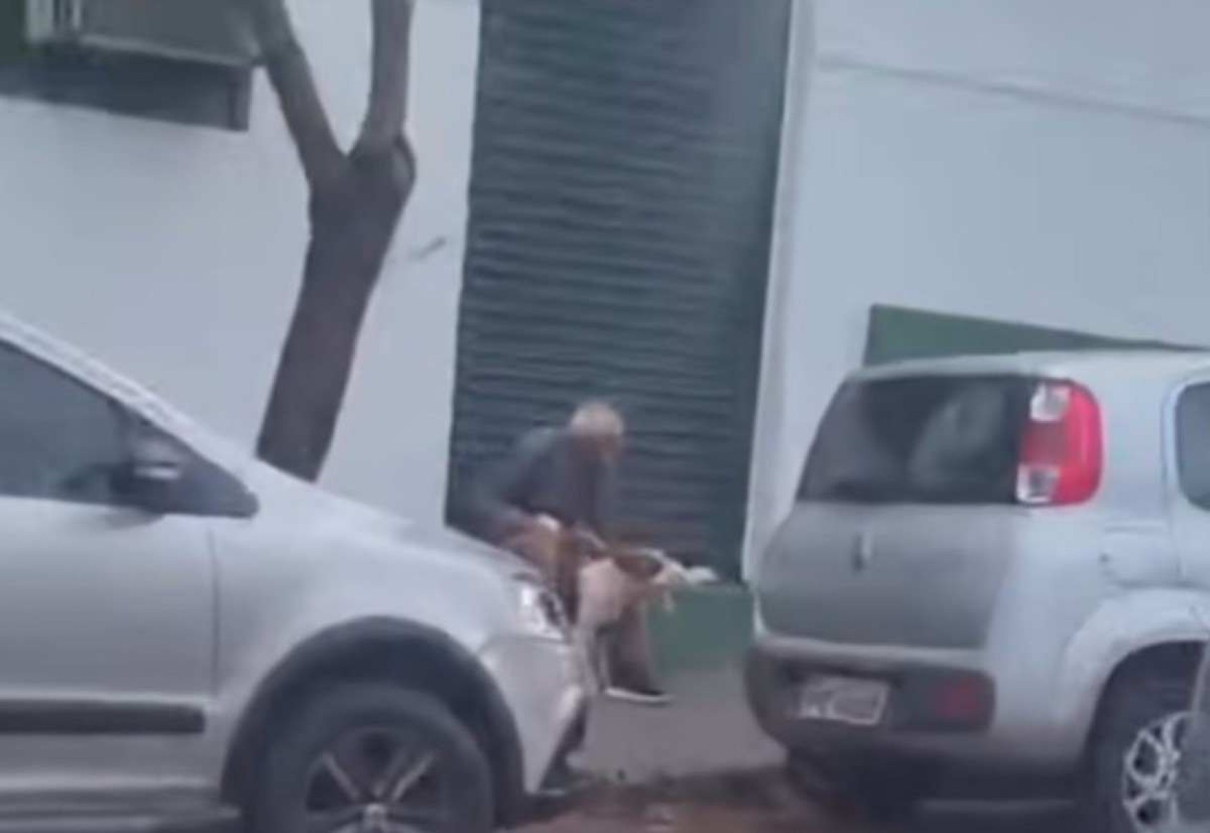 Idoso de 80 anos é preso ao ser flagrado em vídeo abusando de cadela em MG