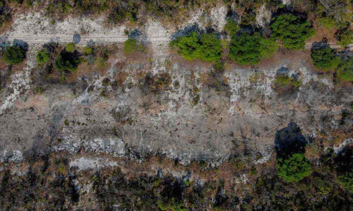 Menos conhecido que a Amazônia e o Pantanal, seus biomas vizinhos mais famosos, o Cerrado é chamado de 